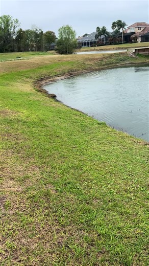 Golf course hopping in new Smyrna #real #florida #bass #fishing