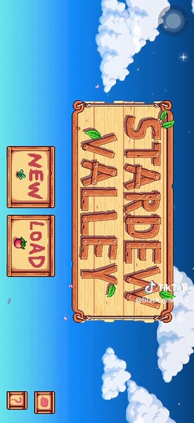 Exploring Co-op Mode in Stardew Valley