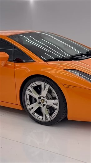 Oskar The Stradman’s Dog | If your dream doesn’t scare you..you are not dreaming big enough 🌷 #lamborghini #supercar #lambo #stradman #car | Instagram