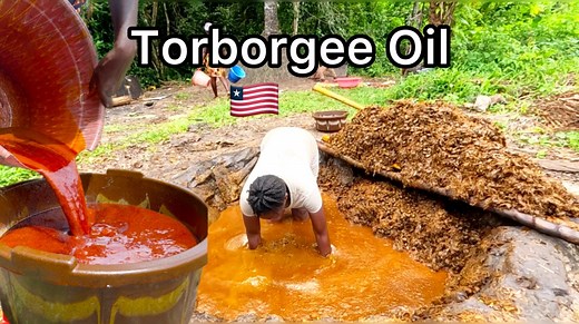 89K views · 3.9K reactions | This is how Torborgee oil is made in Liberia, West Africa. The journey to make this video was not easy, but I'm glad I succeeded. I hope you learn something new from this.  https://youtu.be/up42NS9wElA | Lauretta B Cisse | Facebook