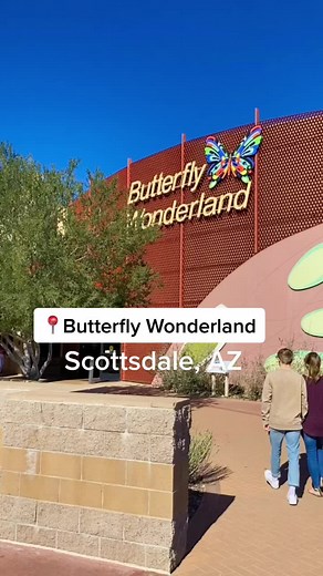 Exploring Butterfly Wonderland in Scottsdale, Arizona