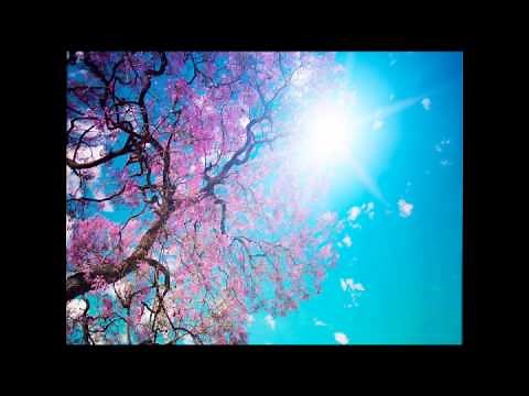 KANKA-SPRING