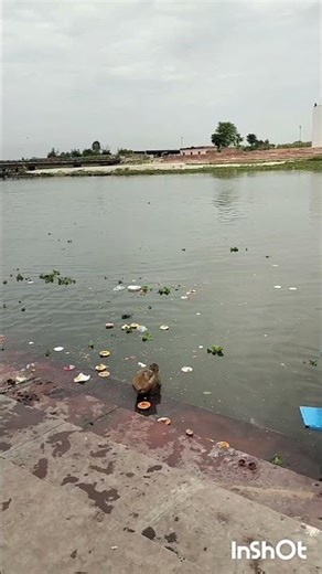 Mahadev mandir♥️ #youtube #trending #viral #shorts #sukartal #bhakti #sad #like #share