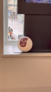 Who remembers Wilson from Cast Away?   https://www.greavessports.com/products/mr-wilson-volleyball #Wilson #CastAway #GreavesSports | Greaves Sports | Facebook