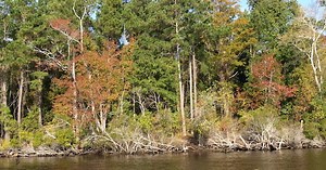 4 Reasons NOT to do The Great Loop