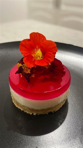 2 x Jelly Slice Versions. •1st Vegan. • 2nd UnVegan
