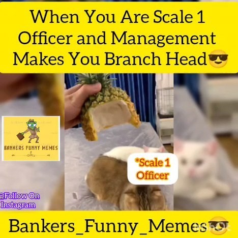 Bankers Funny Memes | Share with Scale 1 Officers 😎😂 #repost #bank #bankers #bankinglife #bankersclub #bankerstyle #banking #official #officers #bankofficer... | Instagram