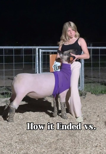 Sheep Showmanship Tips with Kiki and Karis