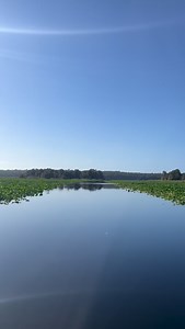 Florida’s rivers can’t speak for themselves, but we can. 🗣️ Our goal to restore the Ocklawaha River will revitalize the iconic Great Florida Riverway—a 217-mile system linking historic Silver Springs with the Ocklawaha and St. Johns Rivers. Central to this effort is the proposal to breach a portion of the Rodman Dam, allowing the river to flow freely once again. By reconnecting these waterways, we can revive lost springs, restore wildlife habitat, and strengthen Florida’s water future for gener