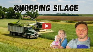 Peterson Farm Bros -- How Do Farmers Make Cattle Feed? - Chopping Cereal Rye - Chopping rye for silage and seeding soybeans!