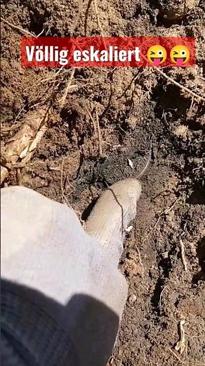 Im absoluten Rausch der Funde😛😛 #metaldetecting #schatzsuche #sondeln #treasure #coin #silver