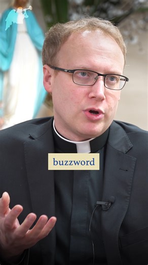 4.4K views · 168 reactions | Real wisdom is to know the difference between right and wrong. Your conscience is a voice of reason, not an emotional inclination. #frgregmorgan #thehotseat #conscience #catholicguilt | Parousia | Facebook