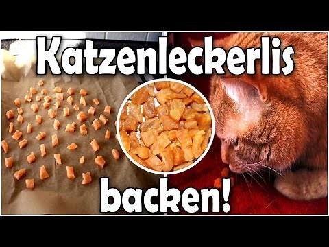 Katzenleckerlis selber backen (DIY)
