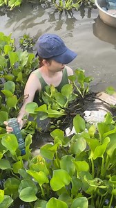 423K views · 5.7K reactions | Trapping the world’s biggest arapaima fish for survival | Emma's Fishing | Facebook