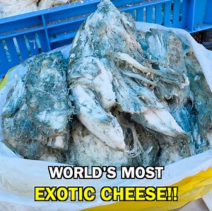 35K views · 497 reactions | World'S MOST EXOTIC Cheese!  Armenian Blue Cheese from the Famous Gyumri Market!! | Chopstick Travel | Facebook