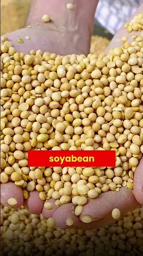 Amino Acids | What They REALLY Do For Your Body | #drruhi #aminoacids