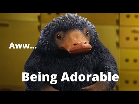 Nifflers Being Adorable For 3 Minutes (Fantastic Beasts)