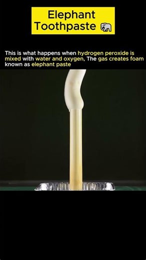 “Elephant Toothpaste: Explosive Foam Reaction!”