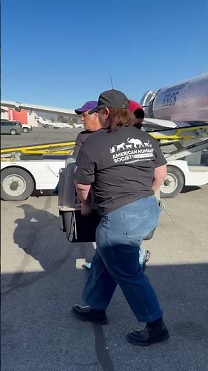 American Humane Society Rescue Team Transports Animals from LA Wildfires to Safety (Jan. 12, 2025)