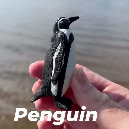 Penguin Toy! 🐧 A Fun Sea Animal Friend