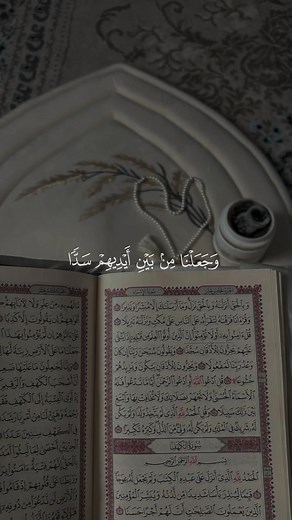 Quran Kareem: Recitation & Reflection