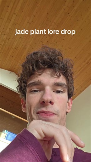 jade plant update for all the plant ppl #viral #fyp #plants #jade
