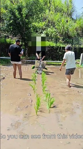 Easy,efficient and affordableSpecial rice transplanter