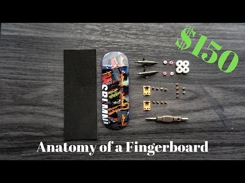 $150 Fingerboard Complete Anatomy and Setup