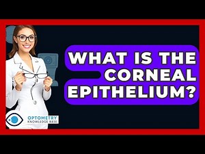 What Is The Corneal Epithelium? - Optometry Knowledge Base