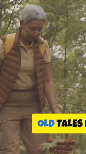 Inside Aokigahara: The Japanese Forest of Suicides