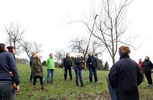 Lehrgang in Rudersberg: Beim Baumschnitt geht es nicht um   Optik