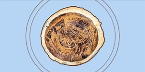 Meet Funny Cake: The Dessert That Will Have Your Family Fighting Over the Last Piece