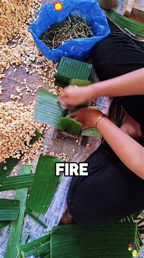 Escaping Danger: A Family's Fight for Survival