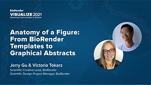 BioRender Learning Hub | Anatomy of a Figure: From BioRender Templates to Graphical Abstracts
