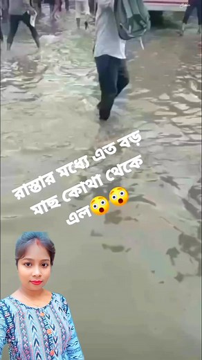 522 reactions · 58 comments | মাছ ধরতে এসে পেলাম পুঁটি মাছ শেষে  #fb #rod #dangaar | Sukla Biswas | Facebook