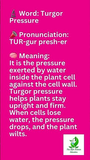"Turgor Pressure Explained in 30 Seconds 🌱💧" #pronunciation #meaning #thelifescienceeducator