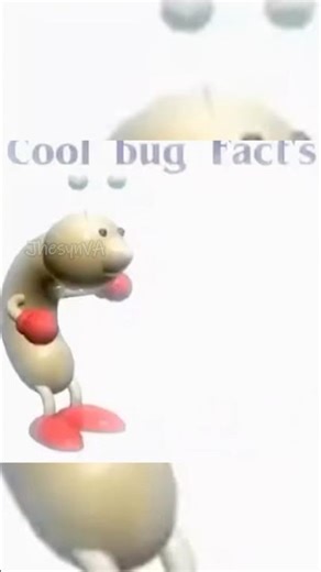 cool bug facts !