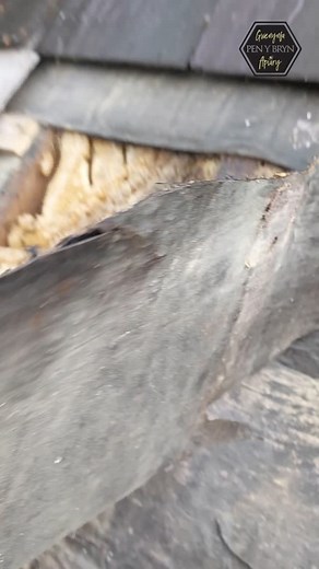 Stacks Of HONEY 🍯 | Black Mountain Honey