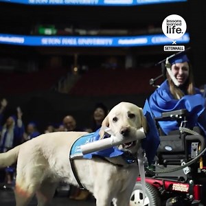 309K views · 7.6K reactions | This dog really worked hard for this moment! ❤️ | Lessons Learned In Life | Facebook