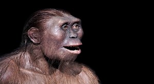 La evolución de la humanidad: ¿Cuáles son las características de los Australopithecus?