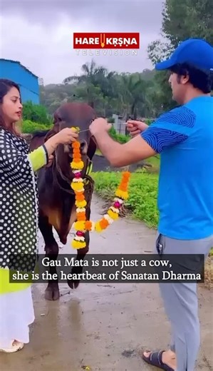 Gau Mata is Not Just a Cow, She is the Heartbeat of Sanatan Dharma #shorts