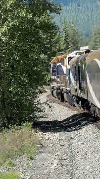Would You Take This Train Through the Canadian Rockies? | Rocky Mountaineer