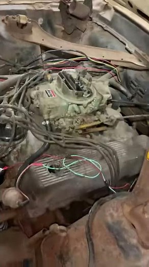 1970 Boss 302 Engine Idle Video