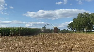 This is a few weeks ago, but as a girl from Long Island, I’m still in awe of our Lancaster County farmland … and our farmers and families who work so hard! I remember driving my aunt back to the airport on her way back to Florida (because from NY, the law is you have to move to Florida 🤣 jk!) and we drove south toward Quarryville to get to Route 1. It’s a rural route, for sure. I’ll never forget, she said, “Have you ever seen so much land in your life?!?” I smile and remember that every time I 