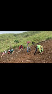 Upland Rice Production In Ancestral Domains | MannyPiñol