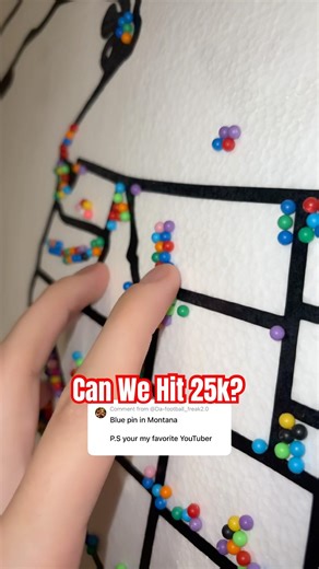 25,000 Pins On One Map 😳 #shorts #fyp #viral