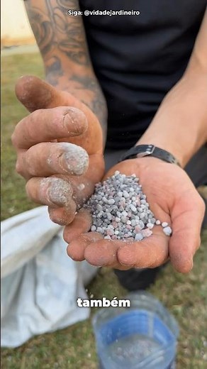 Which Fertilizer Should I Use for Planting Grass? 🤔