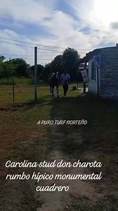 Carolina stud don charota rumbo a las luces hípico monumental cuadrero de Río Muerto | A Puro Turf Norteño