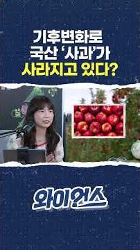 Are Korean 'Apples' Disappearing Due to Climate Change? #shorts