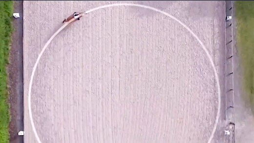 Improve your horse's straightness & balance by learning how to ride 20m circle more accurately. Check out our Dressage competition training course at https://dressagetraining.tv/winning-at-dressage/ | DressageTraining.TV